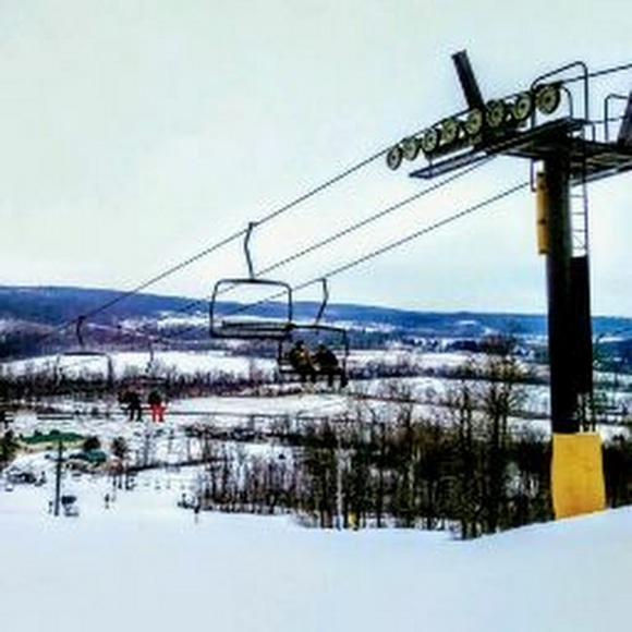 Meet your Posher, Jeanae - Picture 1 of 1